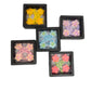 5 Case Flower Hair Clips Bundle – Cute & Colorful Tic Tac Clips for Girls, Toddlers & Infants | Best Gift Pack