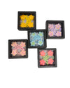 5 Case Flower Hair Clips Bundle – Cute & Colorful Tic Tac Clips for Girls, Toddlers & Infants | Best Gift Pack